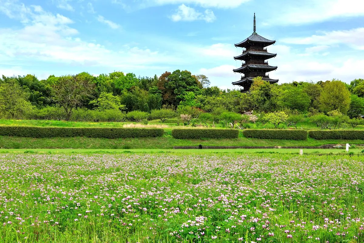 🏯 빗추 고쿠분지(비추코쿠분지)